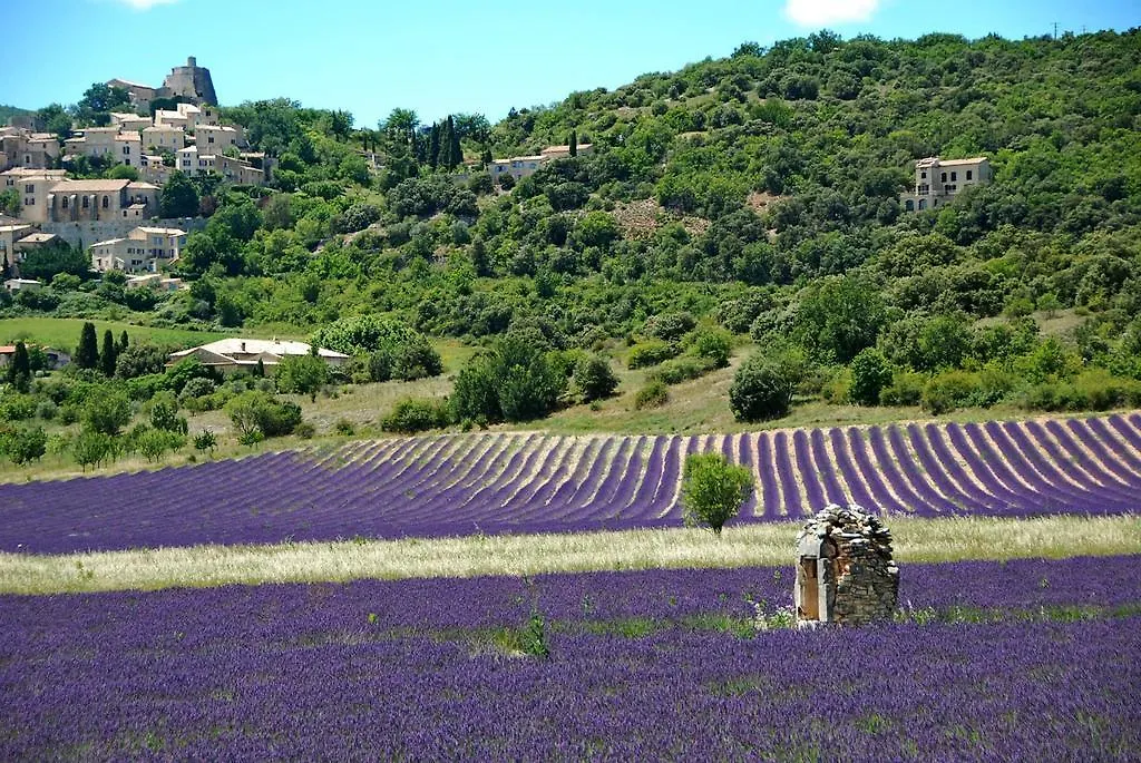 Bed and Breakfast Le Domaine Saint Jean